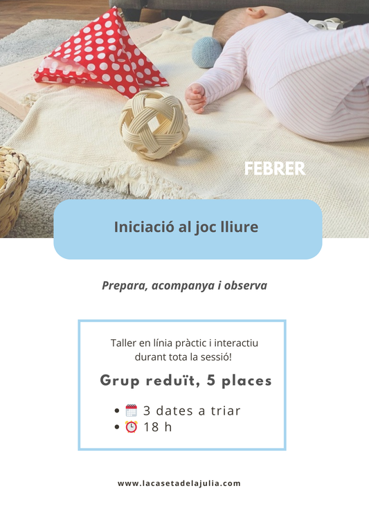 Iniciació al joc lliure